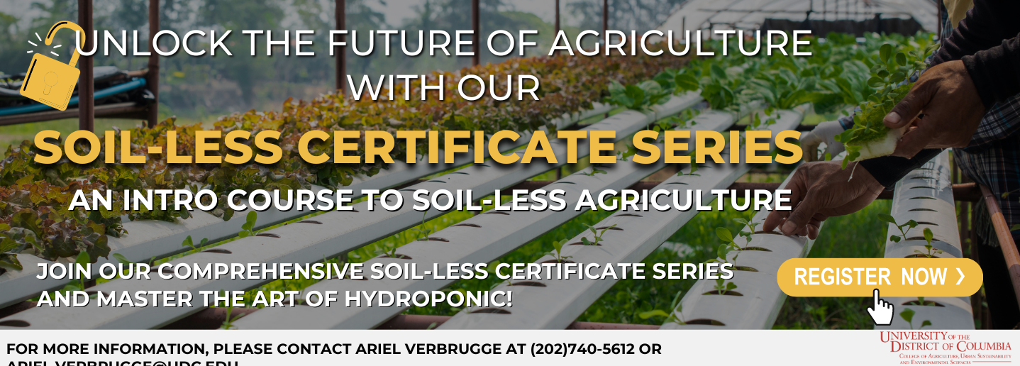 Soil-less Certificate Series: Intro to Soil-less Agriculture Course October 2, 2023