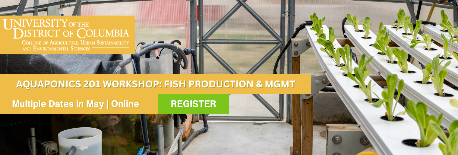 Aquaponics 201 Workshop: Fish Production and Management