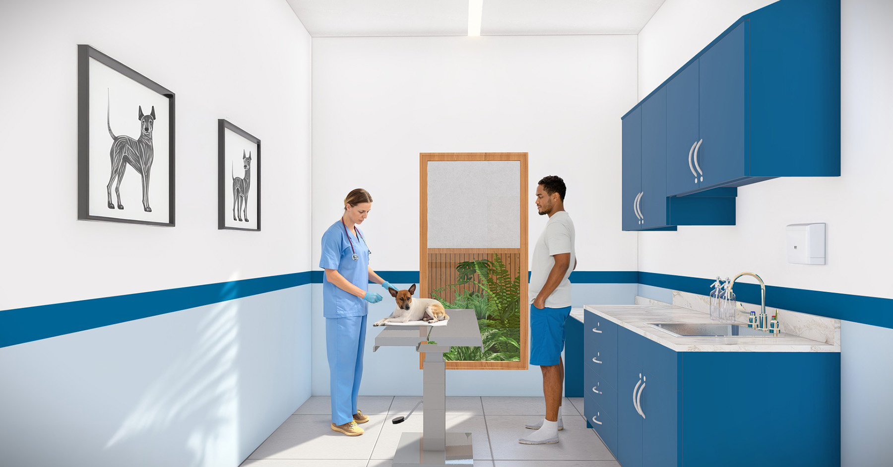 Architectural rendering of a space for stray dogs in Brazil.