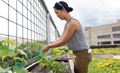 A woman is carefully tending to various plants in a vibrant garden, surrounded by greenery and blooming flowers.