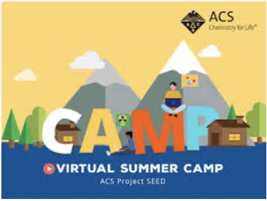 Project Seed CAMP image