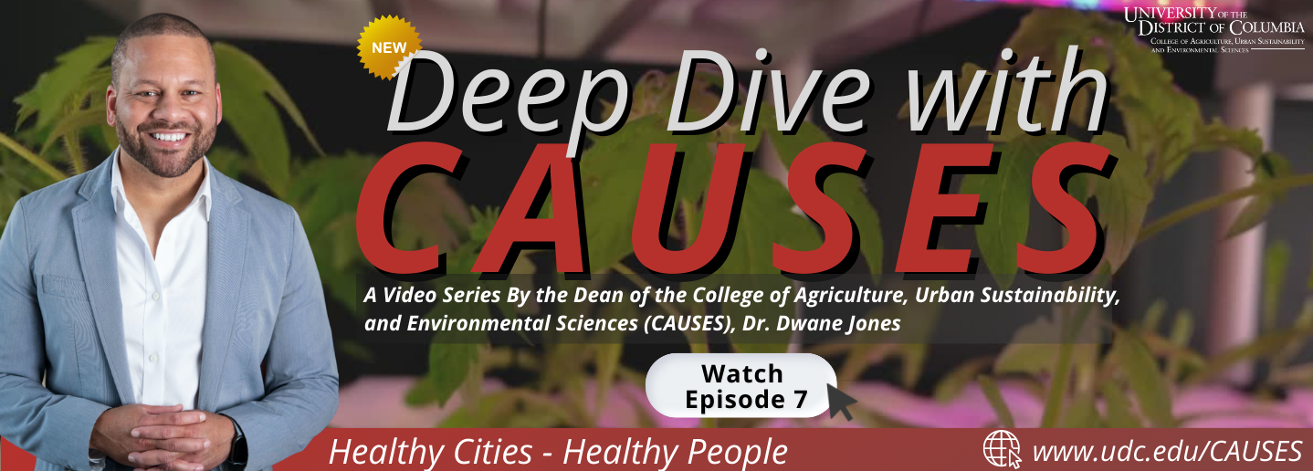 Deep Dive with CAUSES Tune In