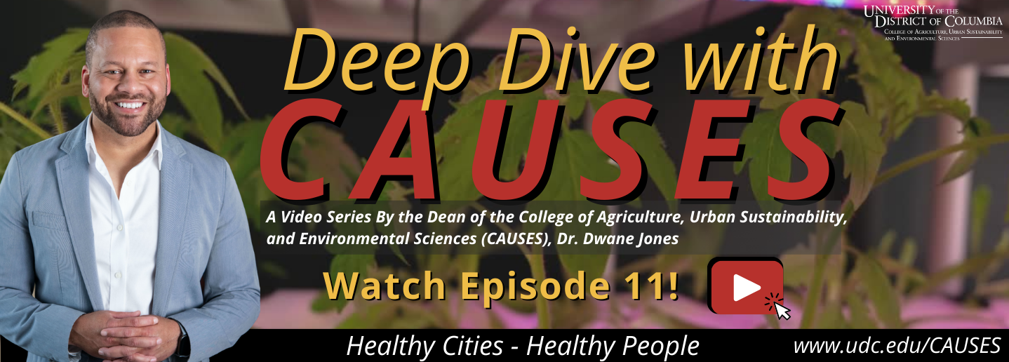 Deep Dive with CAUSES Episode 11