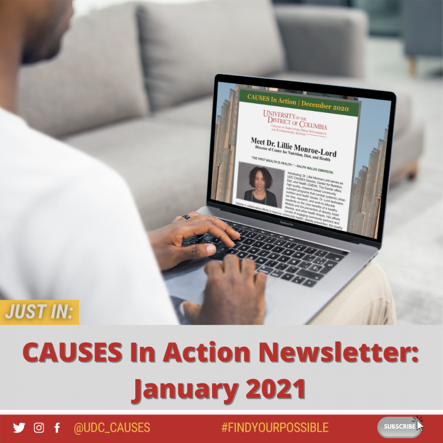 CAUSES in Action January 2021 Image