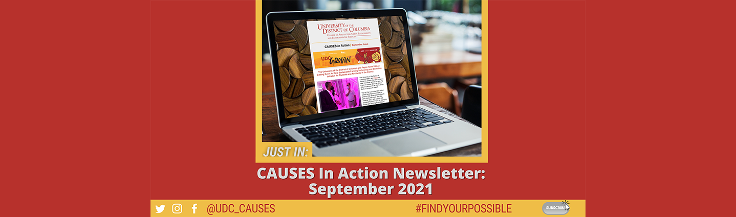 CAUESES in Action Newsletter September 2021