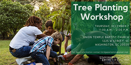 Tree Planting Workshop – Dec 7, 2017