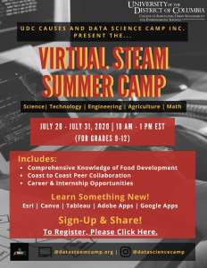 Virtual STEAM Camp Graphic