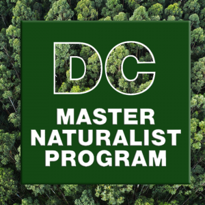 DCMNP Logo (Social)