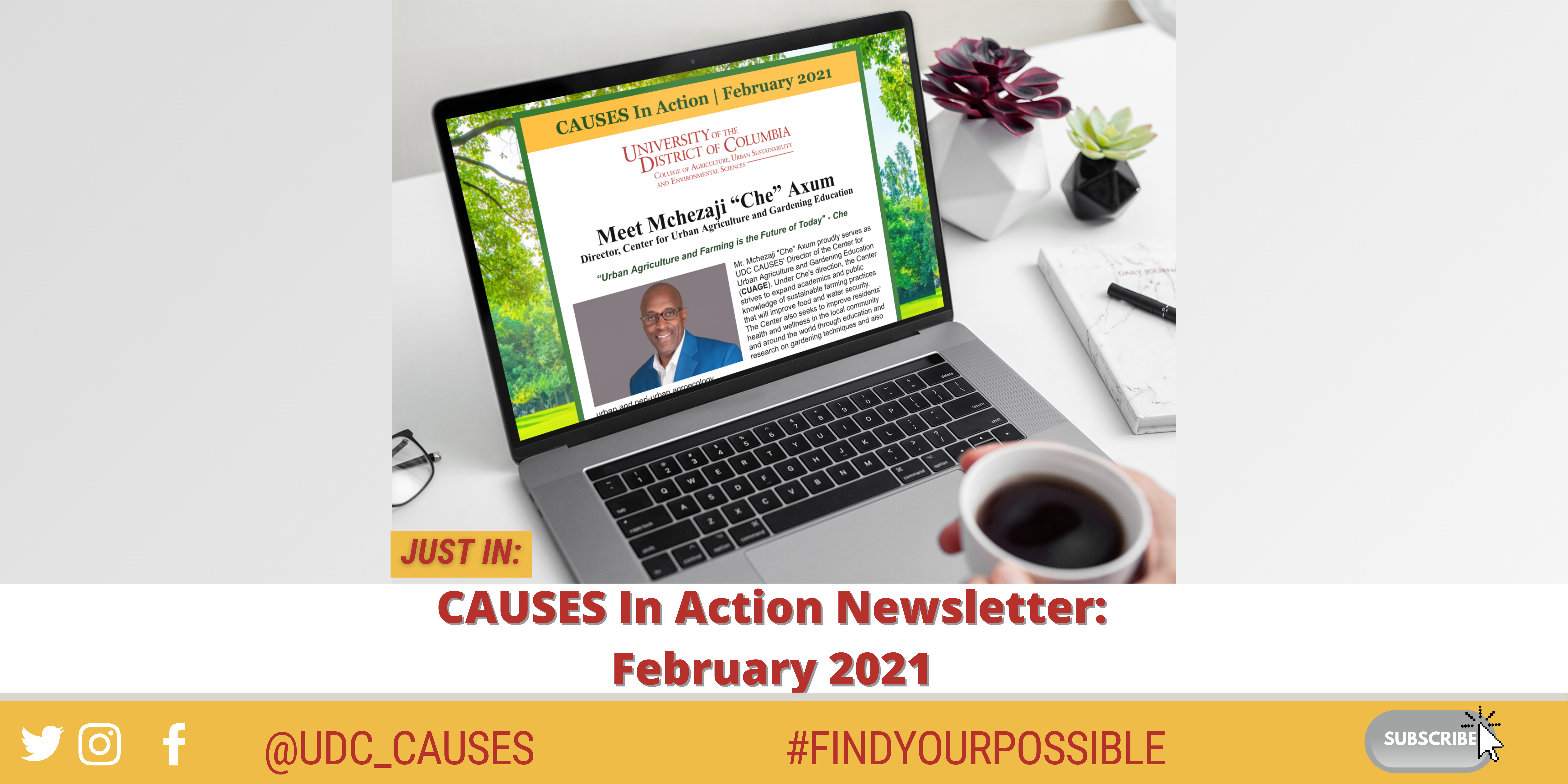 CAUSES in Action Newsletter February 2021