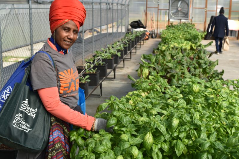 Bertie Backus at UDC's Urban Food Hub