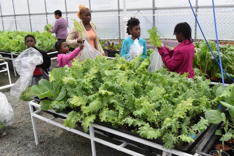 Members of Community at East Capitol Urban Farm