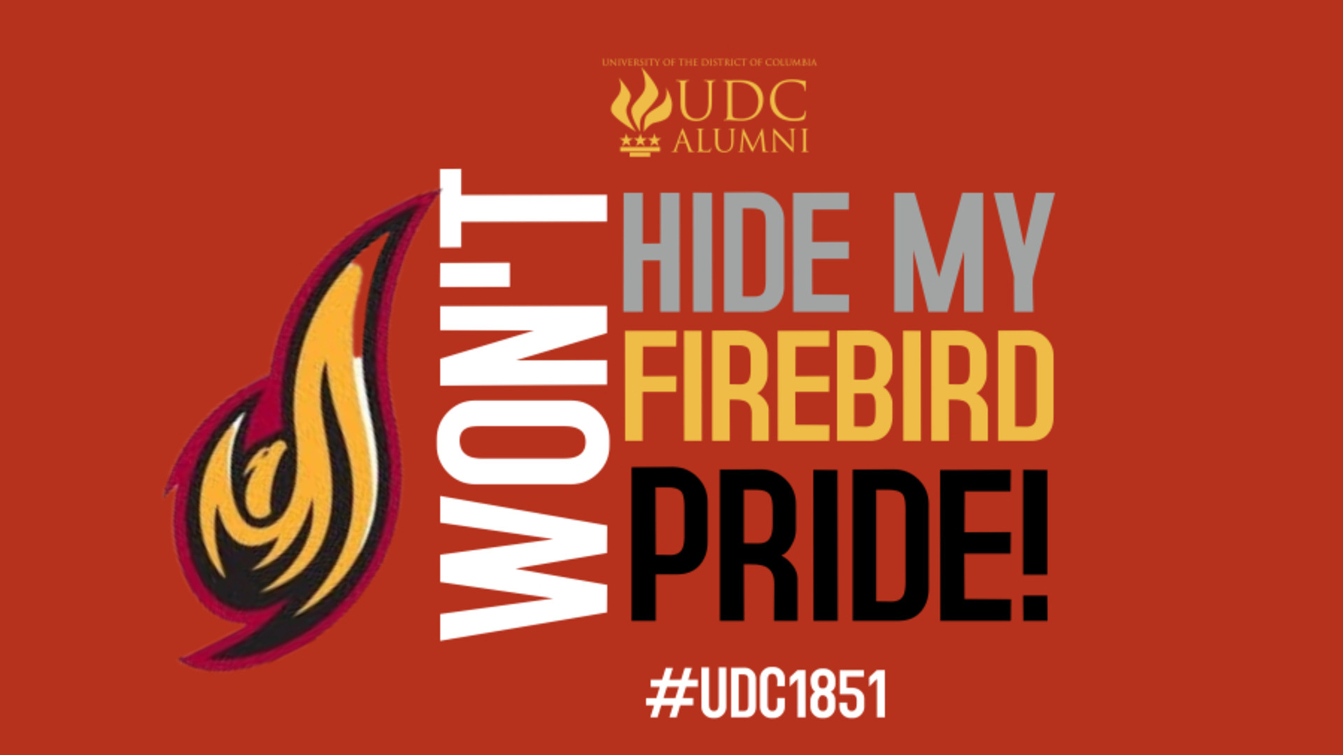 Firebird Pride Alumni Zoom Background