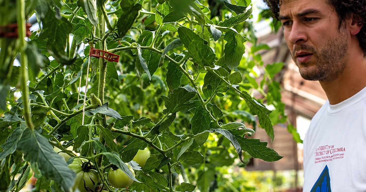 Growing More Food With Fewer Resources Prepares Students to Tackle Urban Food Challenges