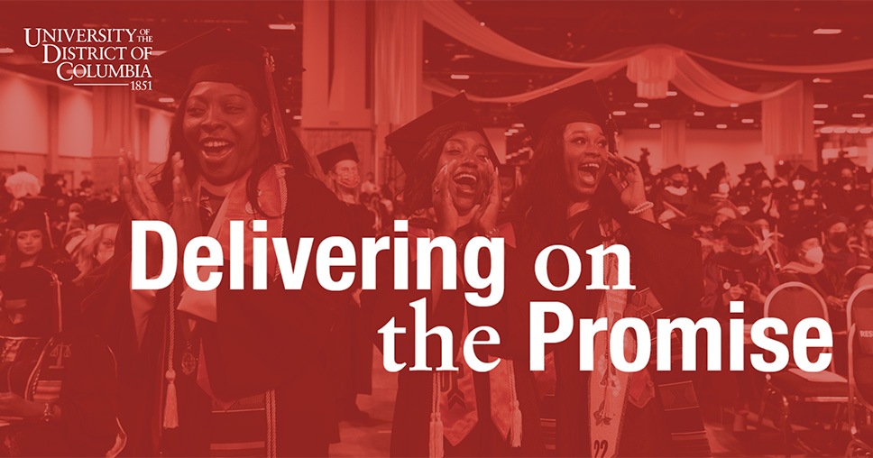 Delivering on the Promise
