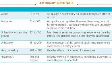 Slide from Visual Air Quality Data Analysis by Olivia Nkweto Katebe, Stephane Nguemengne Sipa