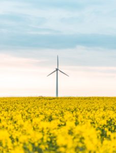 renewable energy windmill image