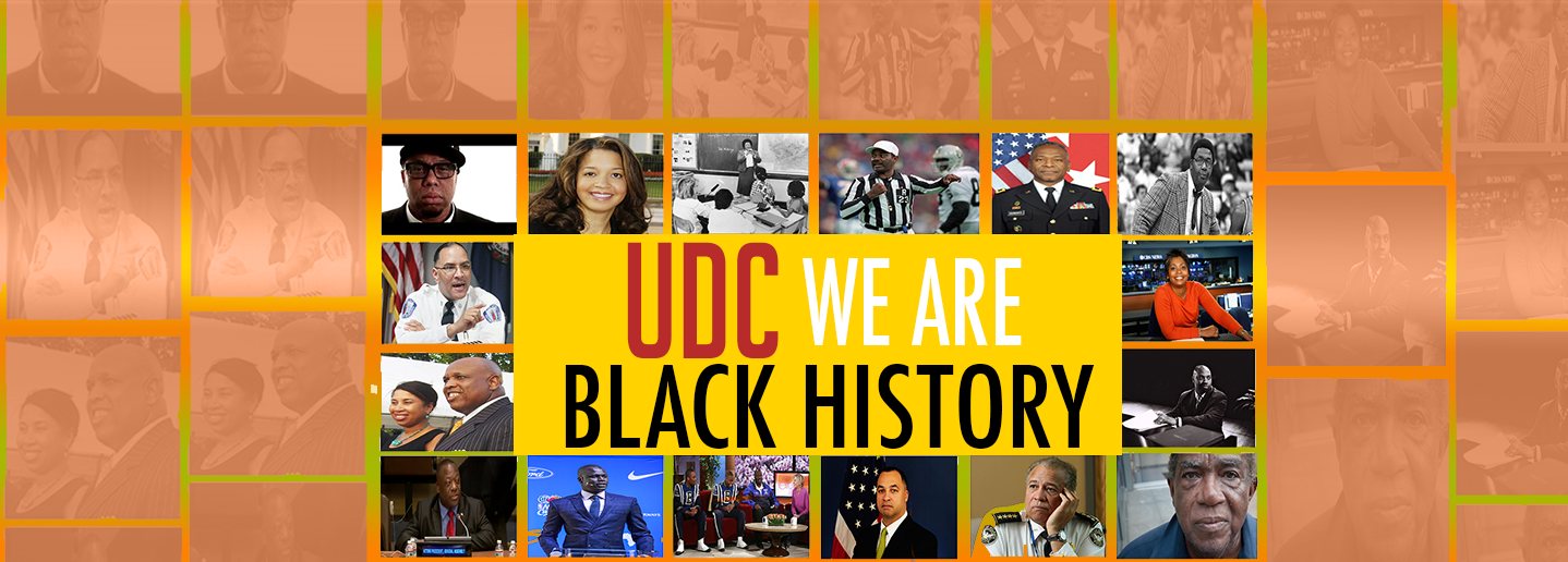 Black History web banner