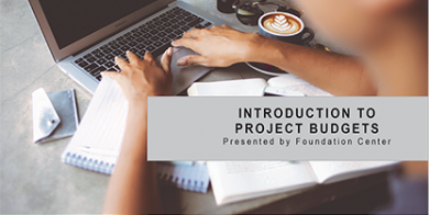 Introduction to Project Budgets 2017 News Feature