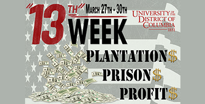 “13th” Week – Plantation$, Prison$, Profit$