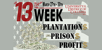 “13th” Week – Plantation$, Prison$, Profit$