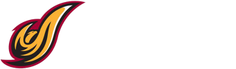 udcfirebirds logo