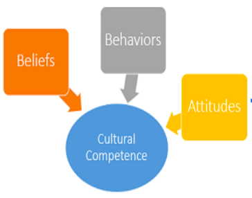 Cultural Competence Overview