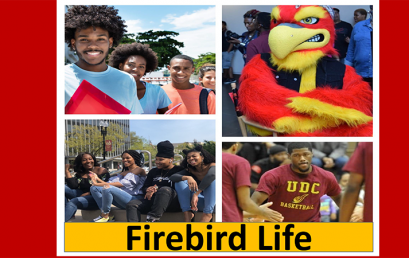 Firebird Life