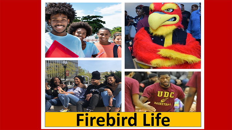 Firebird Life Presentation - PDF