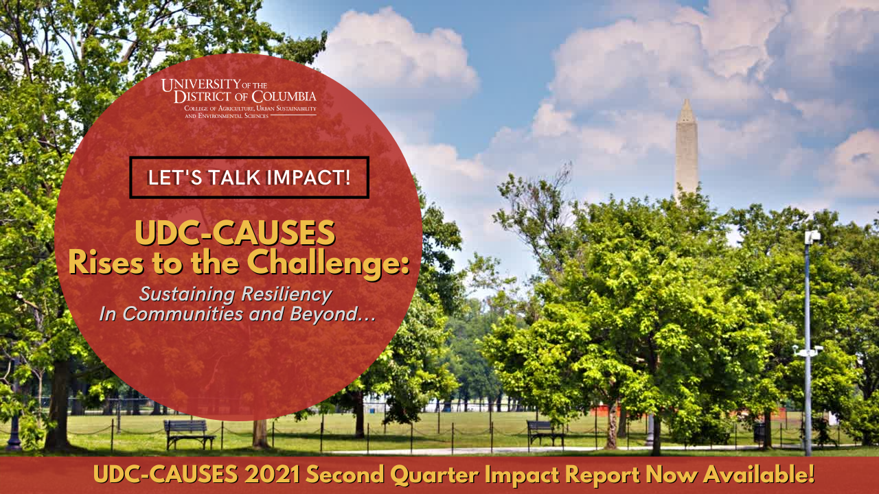 2021 CAUSES 2nd Quarter Impact Report
