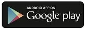 Google Play Icon Image