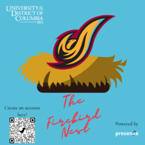 The Firebird Nest - UDC Prescence