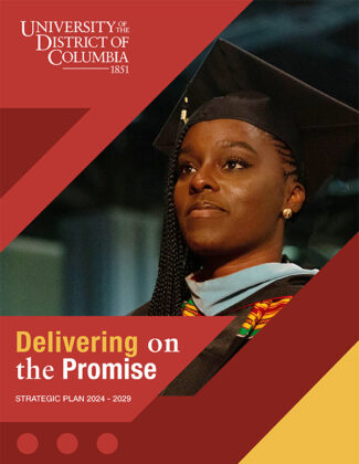 Delivering on the Promise